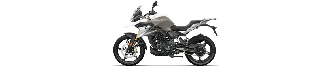 BMW G310R or G310GS